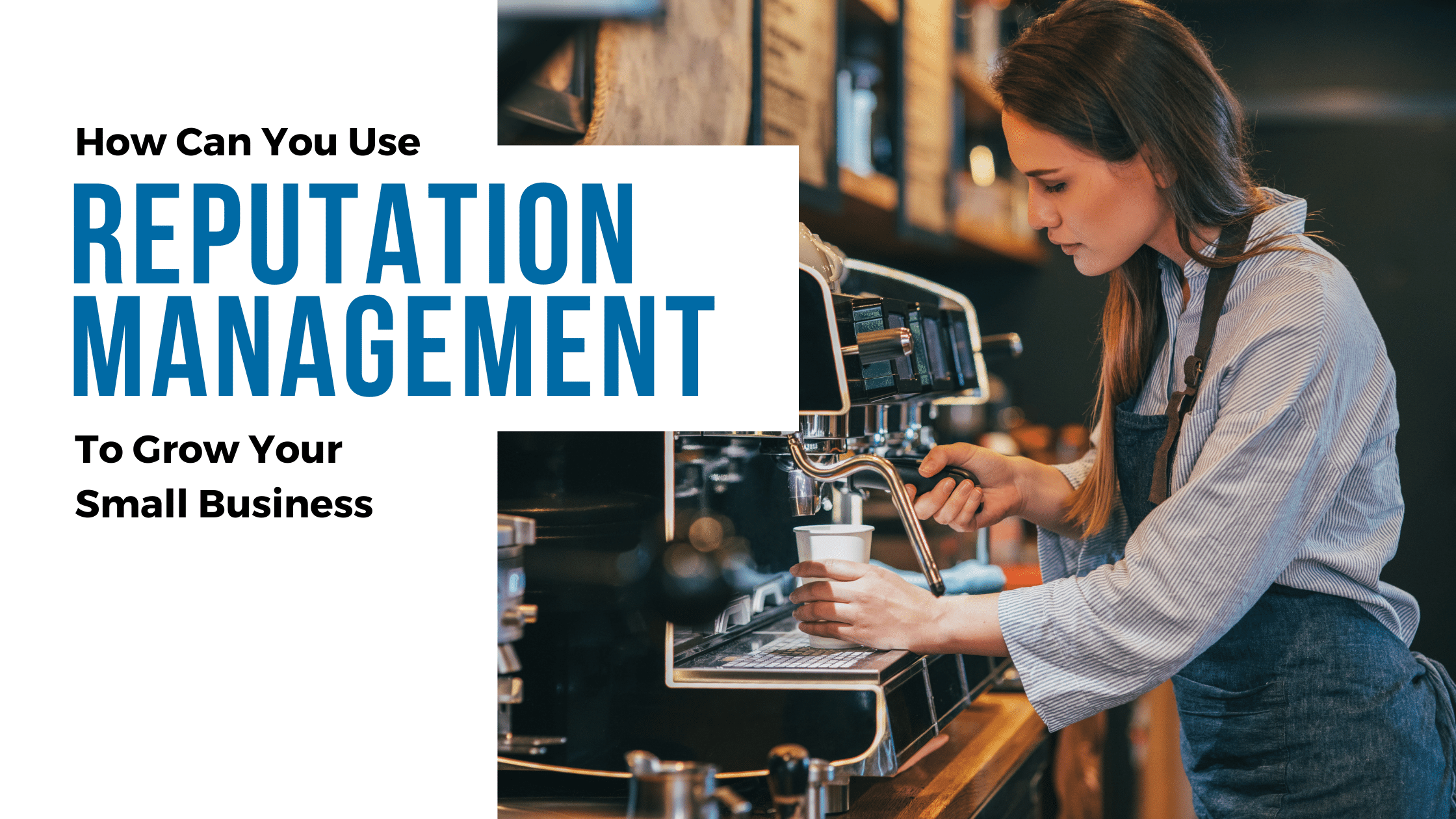Upstate New York Marketing Consultation Reputation Management